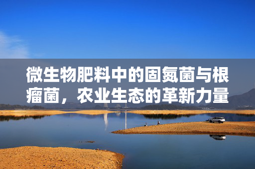 微生物肥料中的固氮菌与根瘤菌,农业生态的革新力量