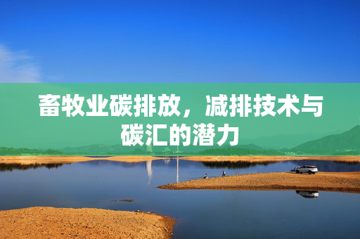 畜牧业碳排放,减排技术与碳汇的潜力