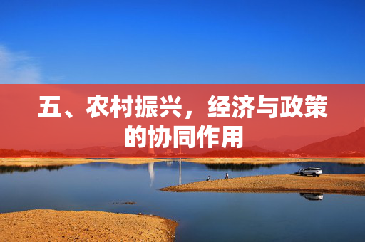 五、农村振兴,经济与政策的协同作用
