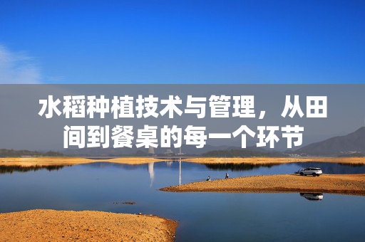 水稻种植技术与管理,从田间到餐桌的每一个环节
