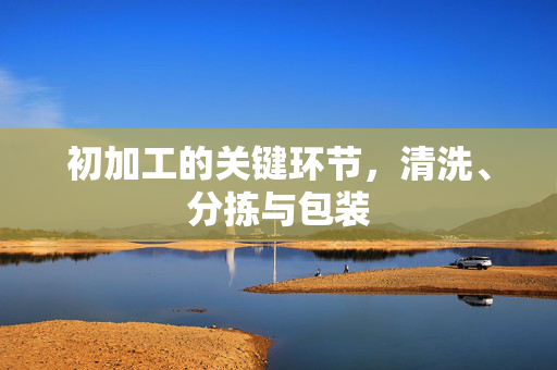 初加工的关键环节,清洗、分拣与包装