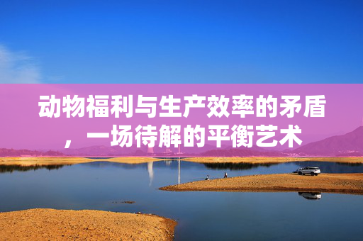 动物福利与生产效率的矛盾，一场待解的平衡艺术