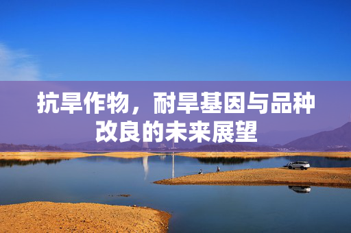 抗旱作物,耐旱基因与品种改良的未来展望