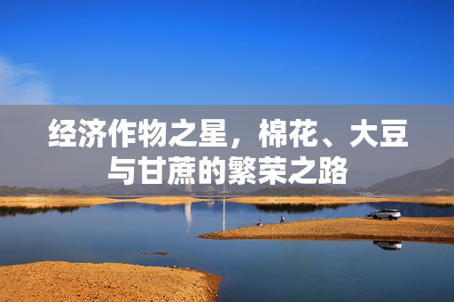 经济作物之星,棉花、大豆与甘蔗的繁荣之路