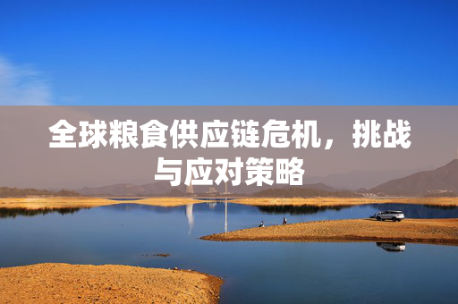全球粮食供应链危机,挑战与应对策略