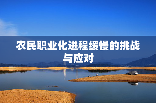 农民职业化进程缓慢的挑战与应对