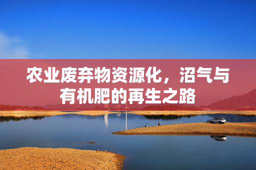 农业废弃物资源化,沼气与有机肥的再生之路