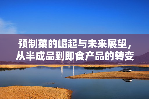 预制菜的崛起与未来展望,从半成品到即食产品的转变与机遇(77视角)