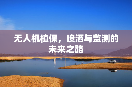 无人机植保,喷洒与监测的未来之路