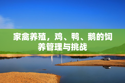 家禽养殖,鸡、鸭、鹅的饲养管理与挑战