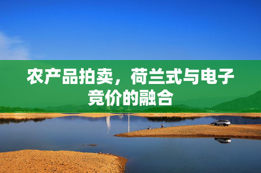 农产品拍卖,荷兰式与电子竞价的融合