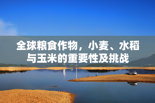 全球粮食作物,小麦、水稻与玉米的重要性及挑战