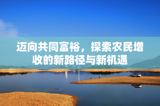迈向共同富裕,探索农民增收的新路径与新机遇